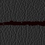 new england patriots