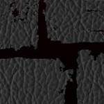 new england patriots