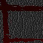 new england patriots