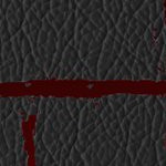 new england patriots