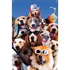 Trends International James Booker - Dog Selfie Unframed Wall Poster Prints - 4 of 4