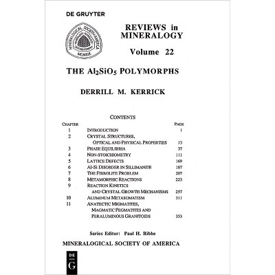The Al2sio5 Polymorphs - (Reviews in Mineralogy & Geochemistry) by  Derrill M Kerrick (Paperback)