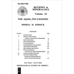 The Al2sio5 Polymorphs - (Reviews in Mineralogy & Geochemistry) by  Derrill M Kerrick (Paperback) - 1 of 1