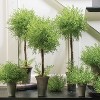 Sullivans Artificial 23", 26" & 30" Feather Fern Topiary Tree Set of 3 - 2 of 3
