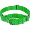Country Brook Design Martingale Heavyduty Nylon Dog Collar - 4 of 4