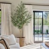 Olive Trees Artificial Indoor, 5-7ft Tall Faux Silk Plant - Fake Potted Tree with White Planter, Artificial Plants - 2 of 4
