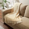 50"x60" Zig-Zag Throw Blanket - Design Imports - 4 of 4