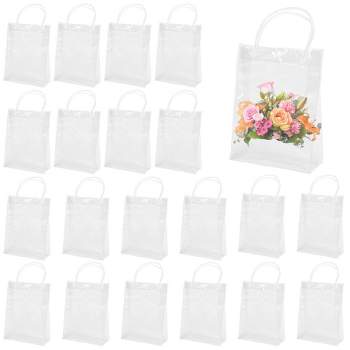 20Pcs Clear Gift Bags with Handle,Clear Gift Bags for Favors Transparent Gift Wrap Bags for Wedding Candy Bags