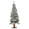 3ft Haute Decor Pre-Lit Lightly Flocked Alpine Artificial Christmas Tree - 2 of 3