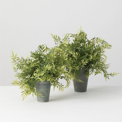 Sullivans Artificial  Set of 2 Wisteria Potted 12"H & 10"H Green