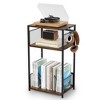 MOEPISY 3-Tier Record Player Stand with Storage for Up to 100 Vinyl Albums - 4 of 4