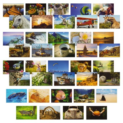 Best Paper Greetings 40 Pack Assorted Animal and Travel Postcards for Mailing, Thank You Notes, 4x6 in