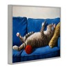 Stupell Industries Cat Couch Relaxing Red Yarn Ball Pet Portrait Framed Giclee Art, Gray, 14" x 11" - 2 of 4