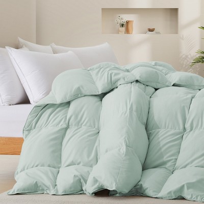 Pastel Green Twin Down Comforter with Polyester Cover