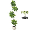 Garvee 6FT Fiddle Leaf Fig Tree Artificial Indoor, Faux Rubber Tree with Sphere Planter, Tall Artificial Plants with Moss for Home Decor Office - 2 of 4