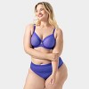Curvy Couture Mesh High Cut Brief - 4 of 4