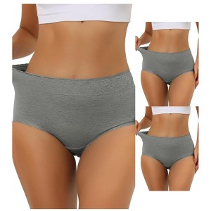 Allegra K Women's Cotton High-Waisted Lace Trim Tummy Control Full Coverage Briefs 3 Packs - 1 of 4