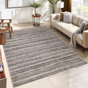 Coucheta Washable Braid Print Area Rug, Stain Resistant, Low Pile & Non-Slip Carpet for Living & Dining Room, Office & Bedroom, Multiple Sizes&Colors - 1 of 4