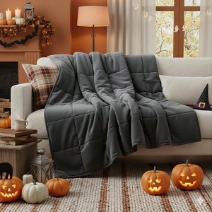 10lbs Weighted Blanket 48x72, Soft Cotton for All - Season Comfort - 1 of 4