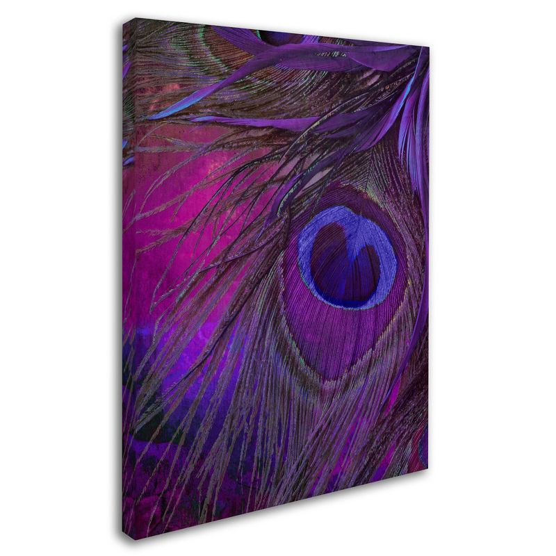Trademark Fine Art -Color Bakery 'Peacock Candy IV' Canvas Art, 1 of 4