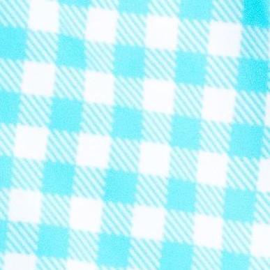 bright aqua gingham