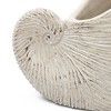 JUJABU 8.5"x5.5"x6.3" Nautilus Shell Decorative Planter, Textured Beige Finish for Indoor or Outdoor Display - 4 of 4