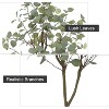Artificial Eucalyptus Tree with Pot, Environmentally Friendly, No Maintenance,  Realistic Silk Leaves, Perfect for Indoor/Outdoor Decor - 4 of 4