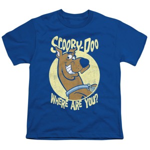 Boys' Scooby Doo Where Are You T Shirt - 1 of 4