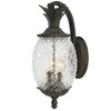 Acclaim Lighting Lanai 2 - Light Wall Light in  Black Coral - 3 of 4