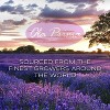 Ola Prima Oils - Clove Essential Oil 4 oz, Clove Oil for Skin, Diffuser, Natural, Premium Grade - Clove Oil - 3 of 4