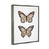 Stupell Industries Butterfly Wings Insect Portrait Black Floater Framed Canvas Wall Art - 3 of 4