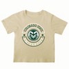 NCAA Colorado State Rams Toddler Boys' 2pk T-Shirt - 3 of 3