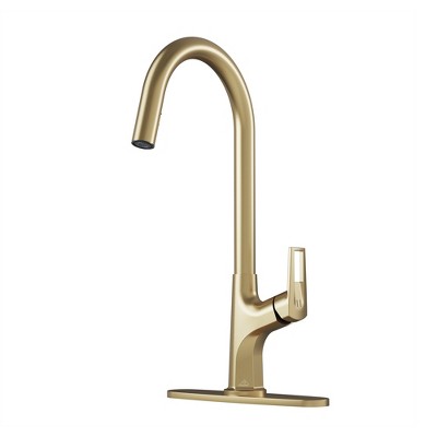 CASAINC Single Handle Kitchen Faucet