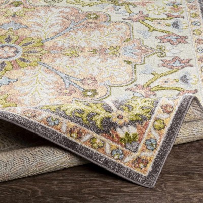 Wamuran Floral Traditional Multicolor Medium Pile Area Rug 6'7" x 9'
