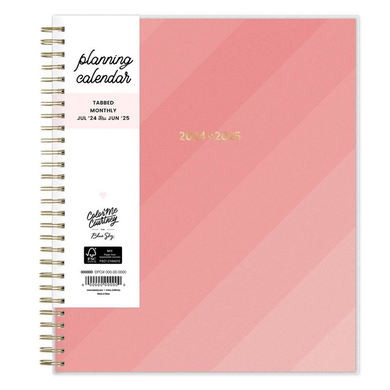 Color Me Courtney for Blue Sky 2024-25 Weekly/Monthly Planner 10&#34;x8&#34; Frosted PP Stepped Pink, 4 of 13
