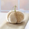 The Lakeside Collection Cream and Gold Harvest Decor - 4 of 4