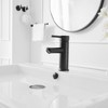 BWE Single Hole Single Handle Bathroom Faucet With Pop Up Drain - 2 of 4