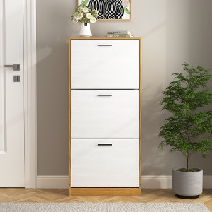 ACEPANO 47.2 in. H Freestanding Slim Shoe Cabinet with 3 Flip-Up Drawers-Natural - 1 of 4