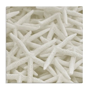 Stupell Industries Nautical White Starfish Photography, 24" x 24" - 1 of 4