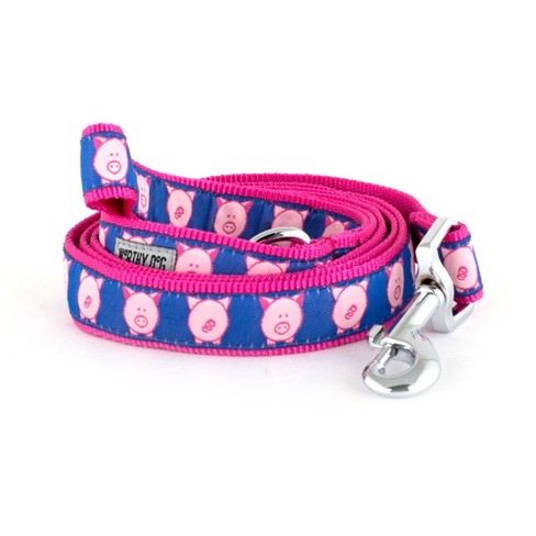 Pig dog outlet collar