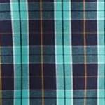 tidal green plaid
