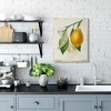 Stupell Industries Vintage French Lemon Branch Canvas Art - 3 of 4