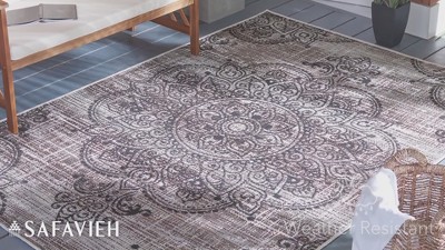 Havana Light Brown and Black Synthetic Indoor/Outdoor Rug