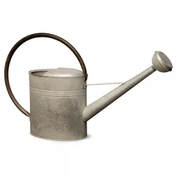 Garden Accents Antique Watering Can Silver 18" - National Tree Company