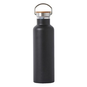 Elemental® Classic Stainless Steel 25-Oz. Water Bottle Thermos with Screw-on Lid and Metal Ring - 1 of 4