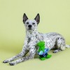 PetShop by Fringe Studio Good Vibes High Tides Dog Interactive Toy - 3 of 3