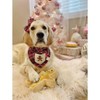 Midlee Christmas Sugar Cookie Plush Dog Toy (Gingerbread Man, Large) - image 4 of 4