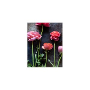 Yosemite Home Decor Ranunculus I Glass Art - 1 of 1
