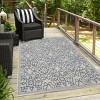 Playa Rug Eliza Rectangle Woven Indoor Outdoor Rugs - 2 of 4
