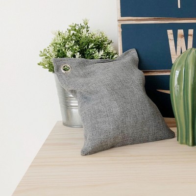 Coop Home Goods Natural Charcoal Deodorizer 550g Target